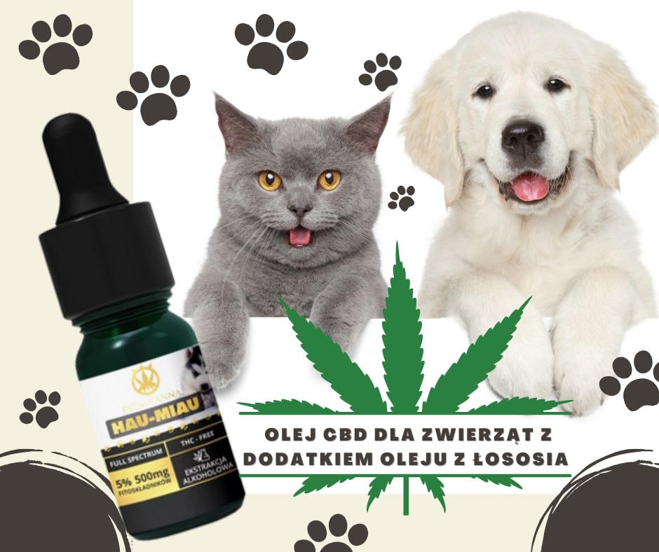 Olejki CBD dla zwierząt – jak dawkować?