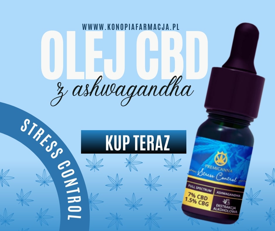 Gdzie kupić olejki CBD? Odkryj certyfikowane i oryginalne CBD w Poznaniu