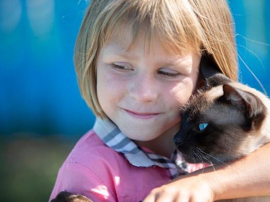 Adopcja psa – najważniejsze informacje przed podjęciem decyzji