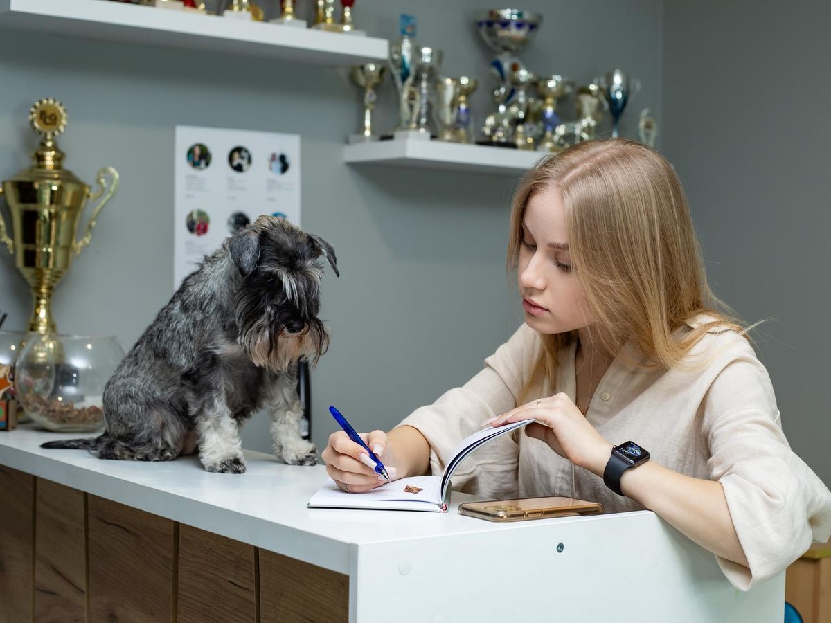 Poradnik adopcji psa: kluczowe aspekty przed podjęciem decyzji