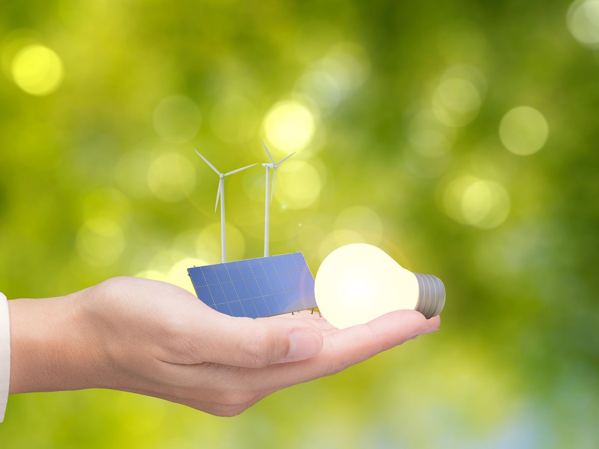 Jak zrównoważone źródła energii wpływają na środowisko przyjazne dla zwierząt domowych